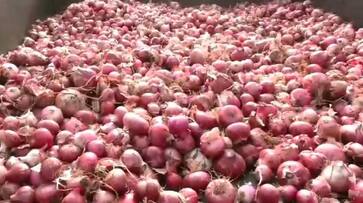 centre steps up sale of subsidised onions at rs 25 per kg amid price rise report ash centre steps up sale of subsidised onions at rs 25 per kg amid price rise report ash