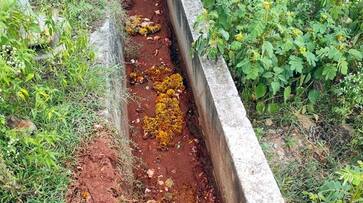 Dissolved Ganesha Idol in Drain at Gajendragad in Gadag grg Dissolved Ganesha Idol in Drain at Gajendragad in Gadag grg