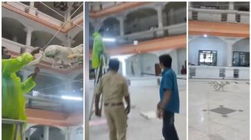 dog trapped in net hit with stick and injured in kerala high court btb dog trapped in net hit with stick and injured in kerala high court btb
