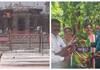 Nagalinga flower plant reach Ayodhya nbn