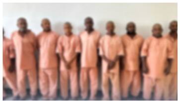 gulf news expats arrested for violating labour law in oman rvn gulf news expats arrested for violating labour law in oman rvn