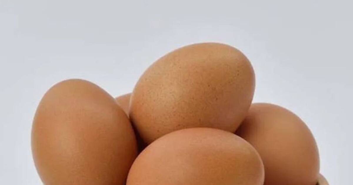 கெட்டுப்போன முட்டையை சுலபமான முறையில் கண்டறியும் வழிகள் இதோ..!!