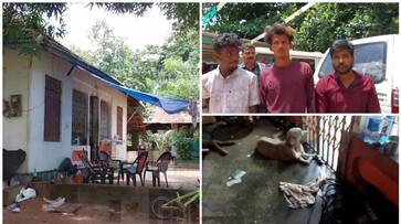 Cannabis trade also in Kallambalam under pet dog protection center nbu Cannabis trade also in Kallambalam under pet dog protection center nbu