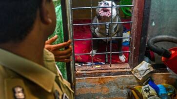 Kerala A drug dealer gave Training to dogs to attack on police in Kottayam akb Kerala A drug dealer gave Training to dogs to attack on police in Kottayam akb
