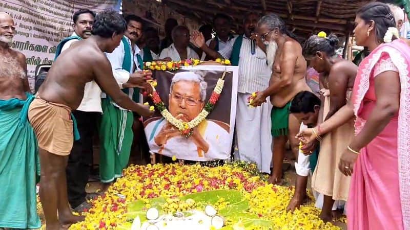 tamil nadu farmers protest against karnataka cm siddaramaiah at cauvery river in trichy vel