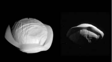 What do you see NASA's stunning photo of 'dumpling-shaped' object sparks creative interpretations snt What do you see NASA's stunning photo of 'dumpling-shaped' object sparks creative interpretations snt