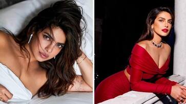Priyanka Chopra expressed happiness on SAG-AFTRA Hollywood strike coming to an end: Here's what she said ADC Priyanka Chopra expressed happiness on SAG-AFTRA Hollywood strike coming to an end: Here's what she said ADC