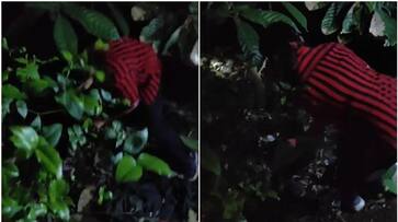 kerala forest officer snake catcher Roshni python hunt latest news asd kerala forest officer snake catcher Roshni python hunt latest news asd