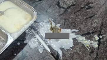 student got dead frog from hostel food hyp student got dead frog from hostel food hyp
