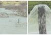 Etha Irrigation in chitradurga farmers are happy nbn