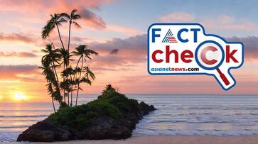 PM Modi photo in coconut trees not real Fact check jje PM Modi photo in coconut trees not real Fact check jje