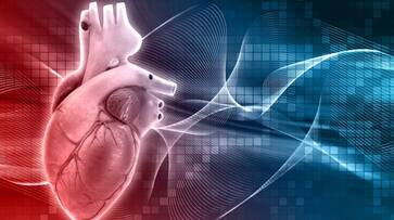 World Heart Day 2023: Unmasking gender disparities in heart disease diagnosis and treatment RBA World Heart Day 2023: Unmasking gender disparities in heart disease diagnosis and treatment RBA