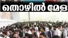 job opportunities urgent vacancies 3000 plus jobs waiting job fair kerala details btb