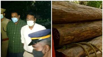 Revenue Department imposed fines on Muttil tree felling case sts Revenue Department imposed fines on Muttil tree felling case sts