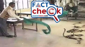 Fact Check snake charmer lets loose 40 snakes in UP govt office photo real or fake jje Fact Check snake charmer lets loose 40 snakes in UP govt office photo real or fake jje