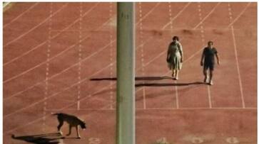 IAS officer who vacated the stadium to walk pet dog now Compulsorily Retired By Govt bkg IAS officer who vacated the stadium to walk pet dog now Compulsorily Retired By Govt bkg