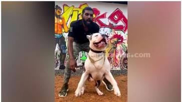 Accused in custody who drugs trade under guise of dog breeding in Kottayam nbu Accused in custody who drugs trade under guise of dog breeding in Kottayam nbu