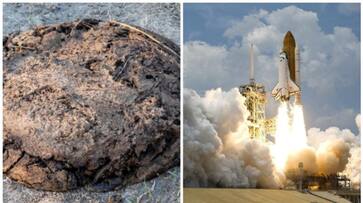 Japanese Company plans to transform cow waste to rocket fuel prn Japanese Company plans to transform cow waste to rocket fuel prn