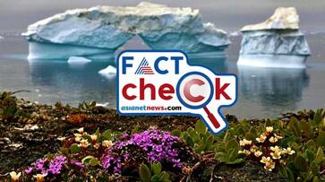 Photo shows flowers blooming in Antarctica but image is from Greenland jje Photo shows flowers blooming in Antarctica but image is from Greenland jje