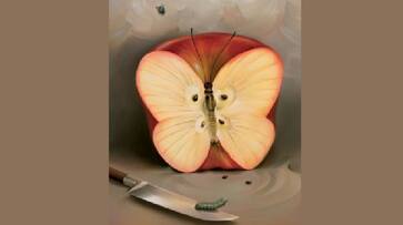 Knife Apple, Caterpillar Or Butterfly What You See First Reveals Your Deepest Fears Vin Knife Apple, Caterpillar Or Butterfly What You See First Reveals Your Deepest Fears Vin