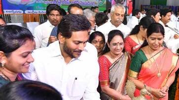 AP CM YS Jagan Serious Comments on Chandrababu lns AP CM YS Jagan Serious Comments on Chandrababu lns