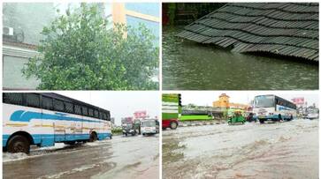 heavy rain kerala orange yellow alerts mnay disdtricts sts heavy rain kerala orange yellow alerts mnay disdtricts sts