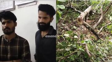 sanndalwood thieves arrested in kannur SSM sanndalwood thieves arrested in kannur SSM