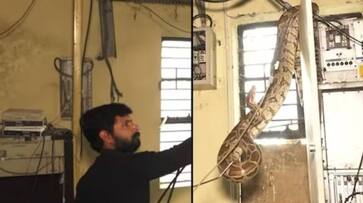 man grabs python with bare hands one bite him rlp man grabs python with bare hands one bite him rlp