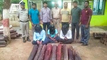 Police arrested three people for smuggling sandalwood logs-rag Police arrested three people for smuggling sandalwood logs-rag