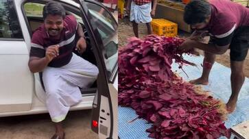 Malayali farmer known as variety farmer arriving in Audi A4 and selling red spinach rlp Malayali farmer known as variety farmer arriving in Audi A4 and selling red spinach rlp