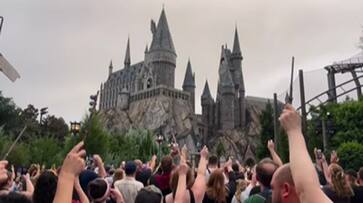 Harry Potter fans pay tribute to Michael Gambon at Hogwarts Castle in a unique way watch avv Harry Potter fans pay tribute to Michael Gambon at Hogwarts Castle in a unique way watch avv