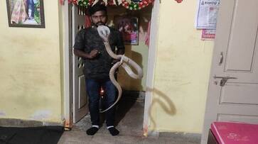 Snake Rescue by Dilip in Tumakuru grg Snake Rescue by Dilip in Tumakuru grg