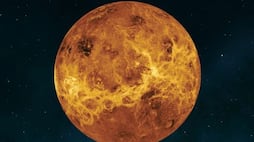 Venus Sun Mercury Make Trigrahi Yoga 2024 These Zodiac Sing Will Be Rich And Happy suh