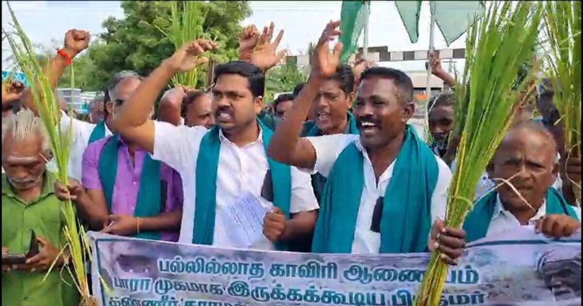 காவிரி விவகாரம்; கர்நாடகாவை கண்டித்து விவசாயிகள் நெற்கதிர்களுடன் ரயில் மறியல்
