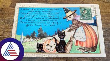 Woman Received Ninteen Twenty Postcard With Weirdest Messages With Image roo Woman Received Ninteen Twenty Postcard With Weirdest Messages With Image roo