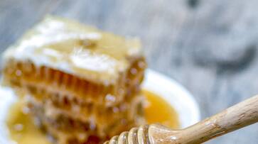 Natural energy booster to immunity support: 7 benefits of Honey ATG EAI Natural energy booster to immunity support: 7 benefits of Honey ATG EAI