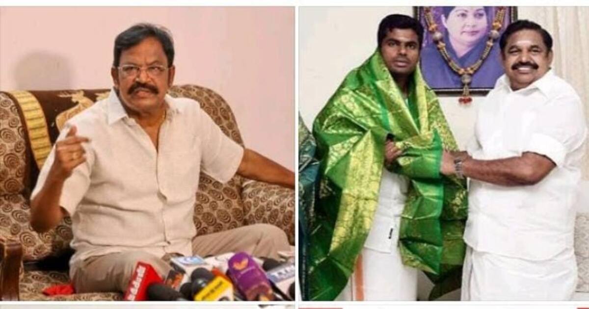 அதிமுகவுடன் கூட்டணி தொடர வேண்டும் என்பதற்காகவே பேசி வருகிறோம்.. நல்ல முடிவு வரும்- வி.பி.துரைசாமி