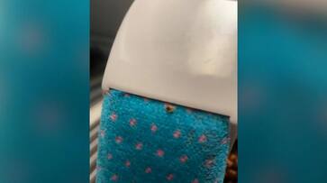 From hotels to public transport, bedbug infestation plagues Paris as city prepares for 2024 Olympics - WATCH snt From hotels to public transport, bedbug infestation plagues Paris as city prepares for 2024 Olympics - WATCH snt