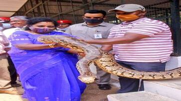 Telangana governor tamilisai soundararajan pose with snake on world animal day smp Telangana governor tamilisai soundararajan pose with snake on world animal day smp