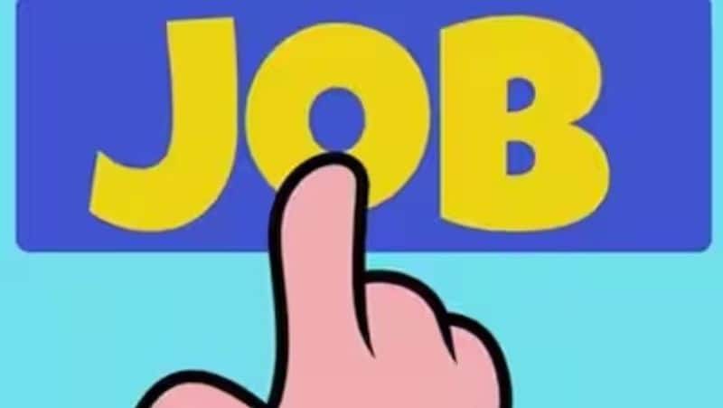 Is this website offering a government job with a salary of Rs 435 genuine? Find out the truth here-rag