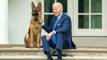 Commander exits White House, moved to undisclosed location Commander exits White House, moved to undisclosed location
