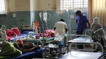 Dengue Fever Cases Rise in Uttara Kannada district grg Dengue Fever Cases Rise in Uttara Kannada district grg