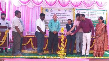 Use of Cereals to Improve Sustainable Food Systems snr Use of Cereals to Improve Sustainable Food Systems snr