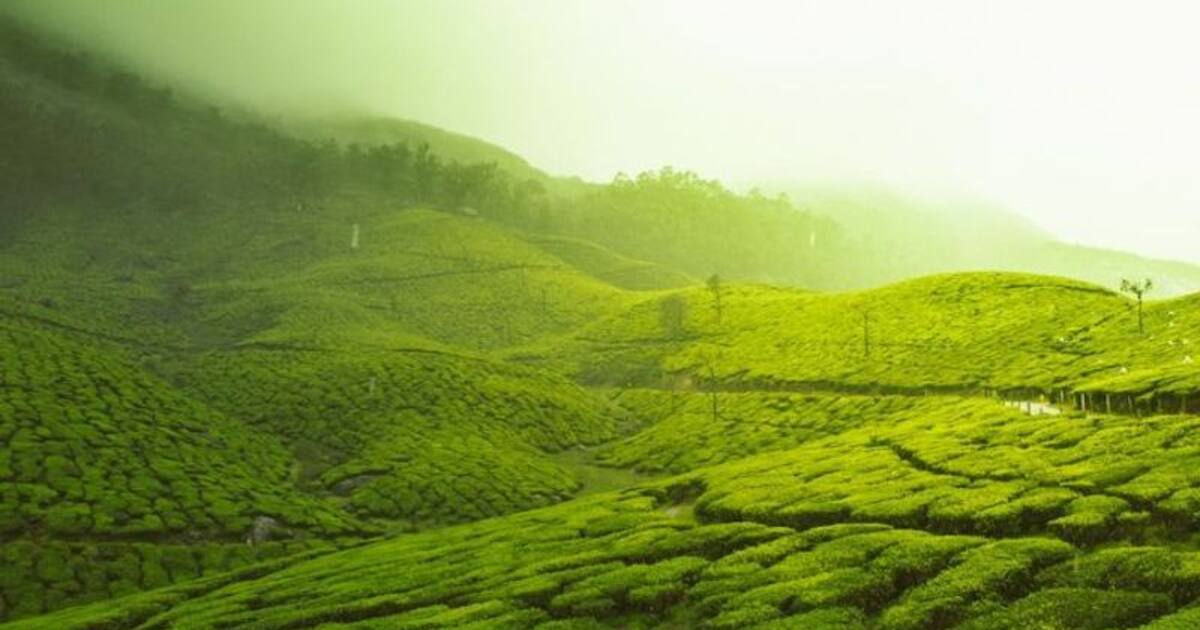 திருப்பதி முதல் ஊட்டி வரை... குறைந்த விலையில் 6 நாட்கள் டூர் பேக்கேஜ் - டிக்கெட் விலை எவ்வளவு  தெரியுமா?