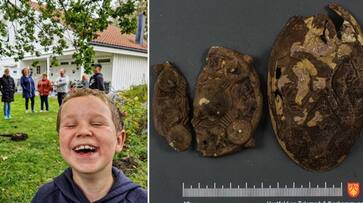 Shocking Norwegian family discovers Viking-era artefacts while searching for lost earring in garden snt Shocking Norwegian family discovers Viking-era artefacts while searching for lost earring in garden snt