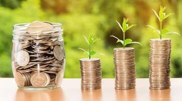 Tax Saving FD: By investing in FDs from these 5 banks, you can avoid paying taxes and earn big interest-rag Tax Saving FD: By investing in FDs from these 5 banks, you can avoid paying taxes and earn big interest-rag