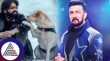 Charlie 777 fame dog missing in Bigg Bosss house What happened on stage suc Charlie 777 fame dog missing in Bigg Bosss house What happened on stage suc