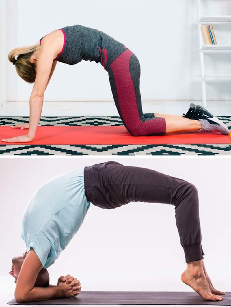 21 Yoga Poses for Office Workers: Relieve Stress Pain