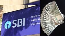 Dont miss it Job opportunities in SBI 2023 Apply for Junior Associate Clerk last date 7 december details asd