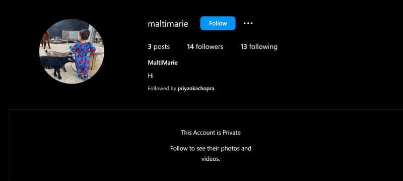 Priyanka Chopra's hidden instagram account for daughter Malti Marie revealed; READ on SHG EAI